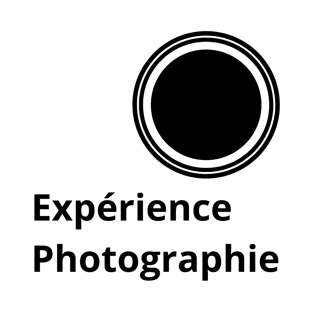 logo du site