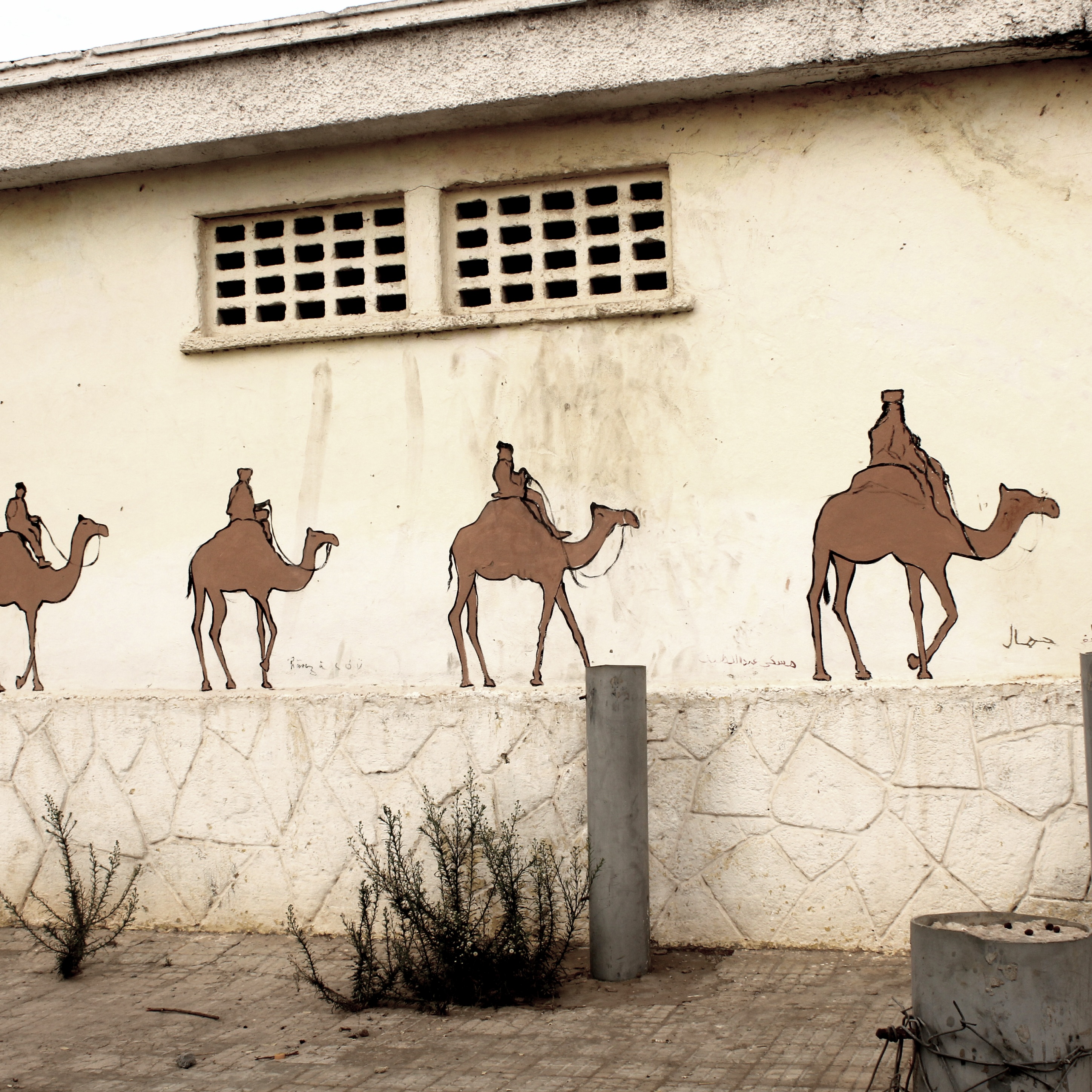 Mur des dromadaires